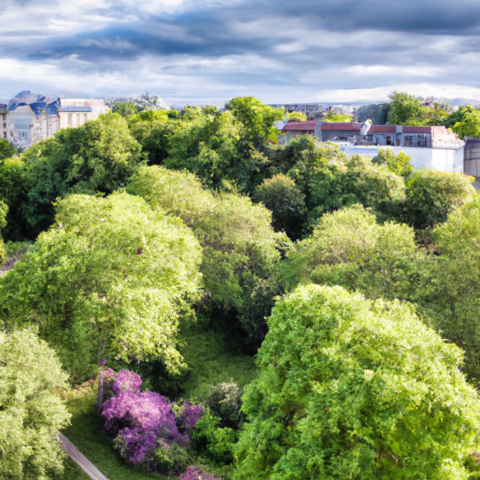 Urban Oasis: The Best Parks and Gardens in City Destinations