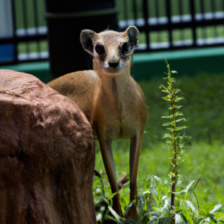 Wildlife Encounters: Nature’s Inhabitants at Top Tourist Attractions