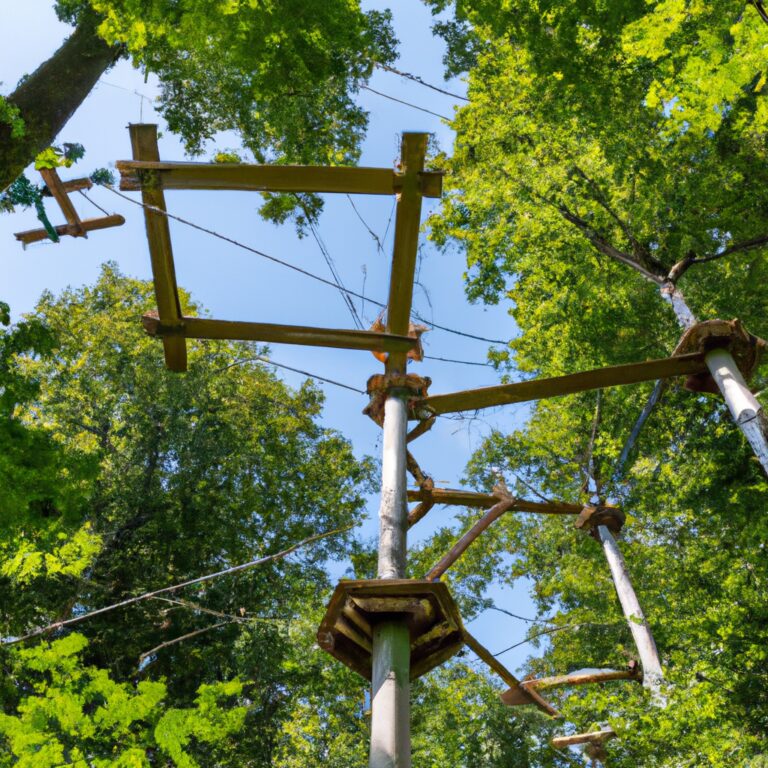 Eco Canopy Tours: Navigating Treetops in Natural Environments